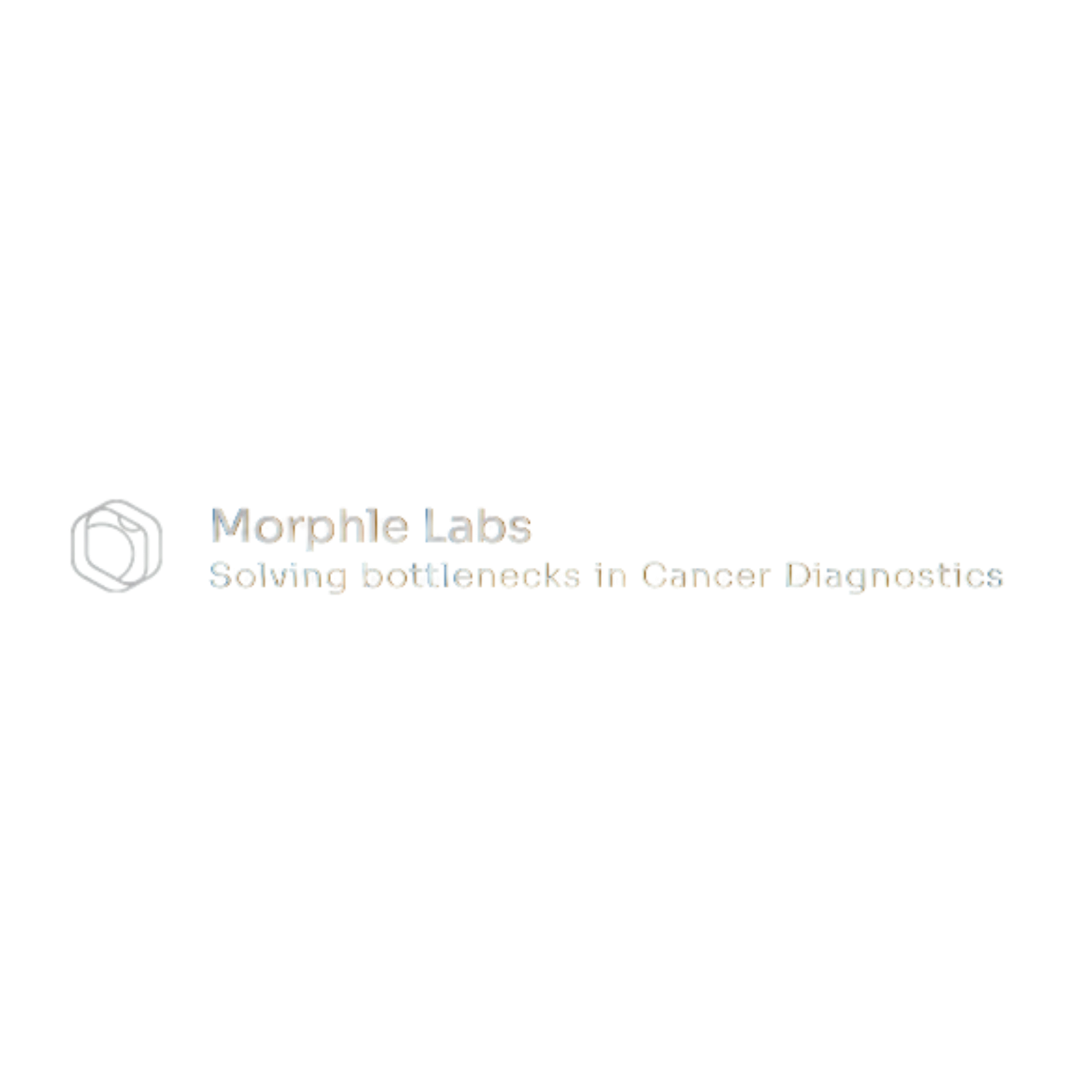 Morphe Labs